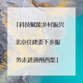 科技赋能乡村振兴 北京住建委下乡服务走进通州西集