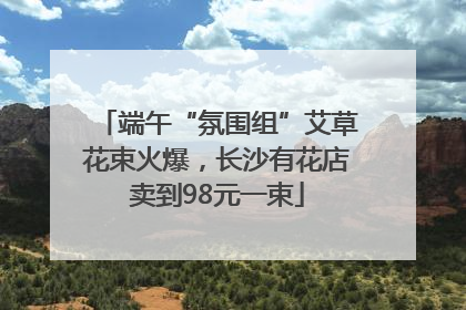 端午“氛围组”艾草花束火爆，长沙有花店卖到98元一束
