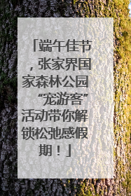 端午佳节，张家界国家森林公园“宠游客”活动带你解锁松弛感假期！