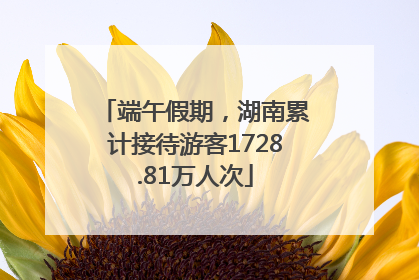 端午假期，湖南累计接待游客1728.81万人次