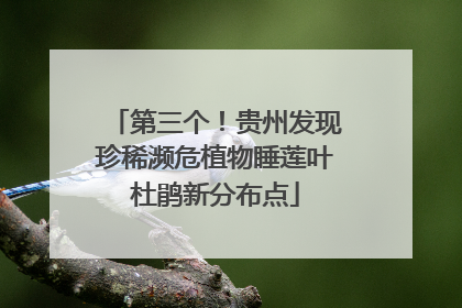 第三个！贵州发现珍稀濒危植物睡莲叶杜鹃新分布点
