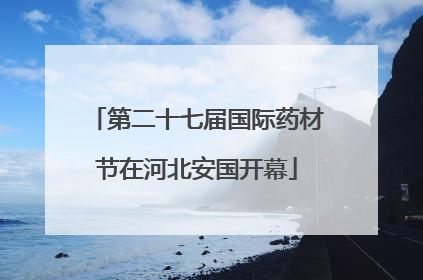 第二十七届国际药材节在河北安国开幕