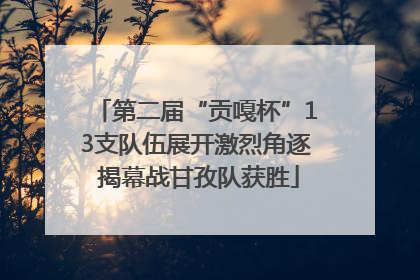 第二届“贡嘎杯”13支队伍展开激烈角逐 揭幕战甘孜队获胜