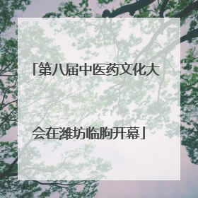 第八届中医药文化大会在潍坊临朐开幕