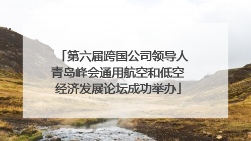 第六届跨国公司领导人青岛峰会通用航空和低空经济发展论坛成功举办
