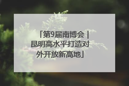 第9届南博会｜昆明高水平打造对外开放新高地
