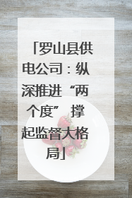 罗山县供电公司：纵深推进“两个度” 撑起监督大格局
