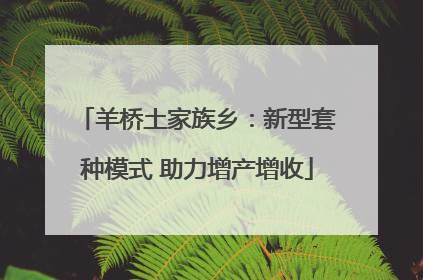 羊桥土家族乡：新型套种模式 助力增产增收