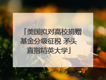 美国拟对高校捐赠基金分级征税 矛头直指精英大学