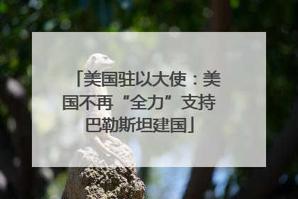 美国驻以大使：美国不再“全力”支持巴勒斯坦建国