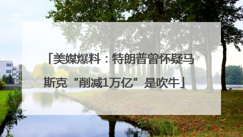 美媒爆料：特朗普曾怀疑马斯克“削减1万亿”是吹牛