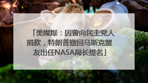 美媒爆：因曾向民主党人捐款，特朗普撤回马斯克盟友出任NASA局长提名