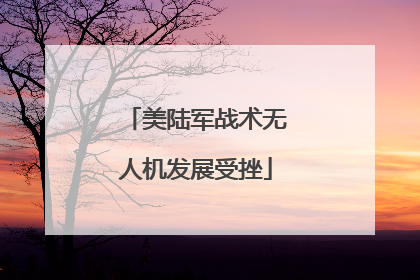 美陆军战术无人机发展受挫