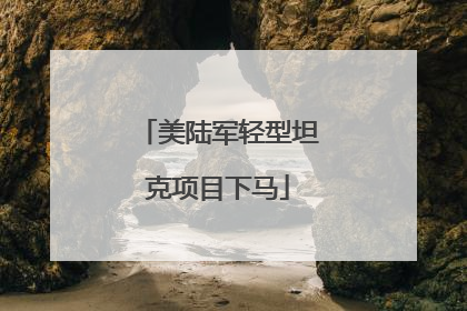 美陆军轻型坦克项目下马