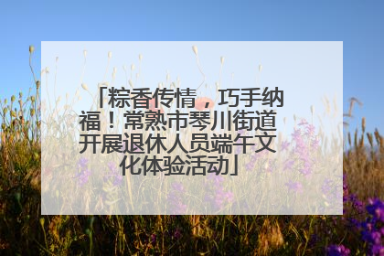 粽香传情，巧手纳福！常熟市琴川街道开展退休人员端午文化体验活动