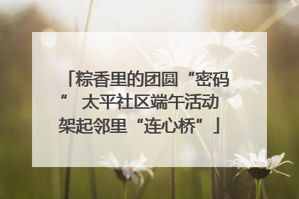 粽香里的团圆“密码” 太平社区端午活动架起邻里“连心桥”