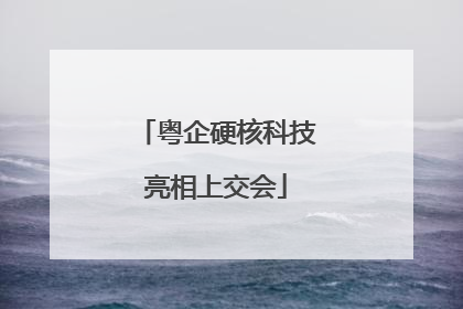 粤企硬核科技亮相上交会