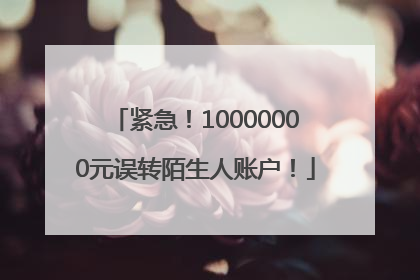 紧急！10000000元误转陌生人账户！