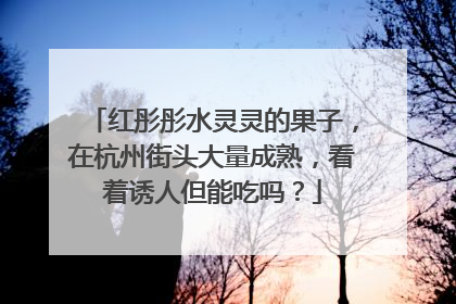 红彤彤水灵灵的果子，在杭州街头大量成熟，看着诱人但能吃吗？