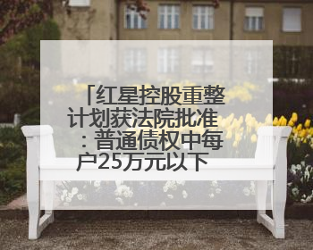 红星控股重整计划获法院批准：普通债权中每户25万元以下部分，六个月内全额现金清偿