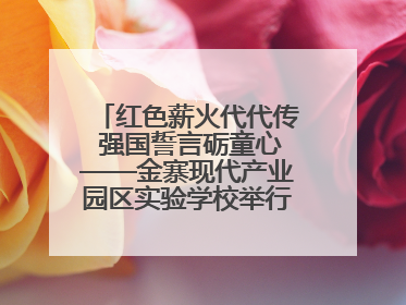 红色薪火代代传 强国誓言砺童心——金寨现代产业园区实验学校举行分批入队仪式