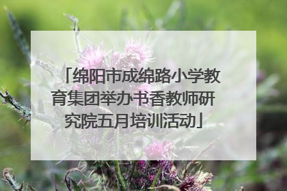 绵阳市成绵路小学教育集团举办书香教师研究院五月培训活动