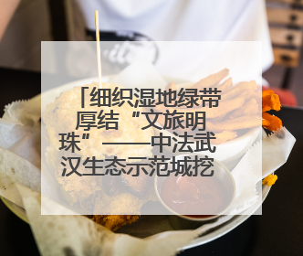 细织湿地绿带 厚结“文旅明珠”——中法武汉生态示范城挖掘绿色发展新动能