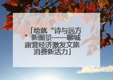 绘就“诗与远方”新图景——聊城露营经济激发文旅消费新活力