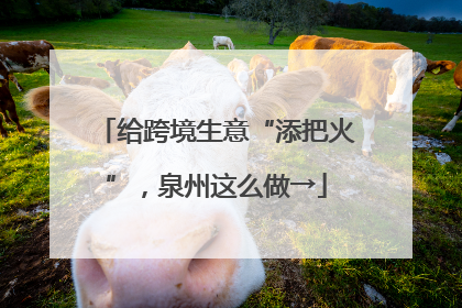 给跨境生意“添把火”，泉州这么做→