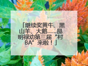 继续奖黄牛、黑山羊、大鹅……昆明禄劝第三届“村BA”来啦！