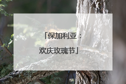 保加利亚：欢庆玫瑰节