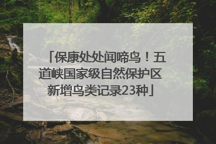 保康处处闻啼鸟！五道峡国家级自然保护区新增鸟类记录23种