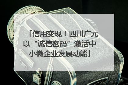 信用变现！四川广元以“诚信密码”激活中小微企业发展动能