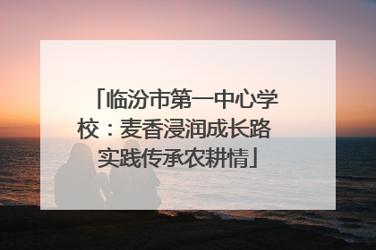 临汾市第一中心学校：麦香浸润成长路 实践传承农耕情