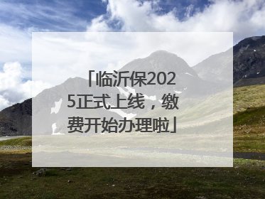 临沂保2025正式上线，缴费开始办理啦