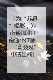 为“苏超”喝彩，为南通加油！南通小江豚“蓝叒叒”申请出战