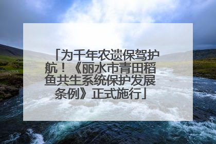 为千年农遗保驾护航！《丽水市青田稻鱼共生系统保护发展条例》正式施行