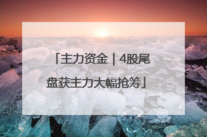 主力资金｜4股尾盘获主力大幅抢筹