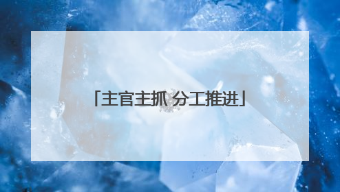 主官主抓 分工推进