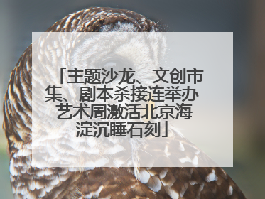 主题沙龙、文创市集、剧本杀接连举办 艺术周激活北京海淀沉睡石刻