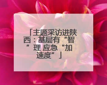 主题采访进陕西：基层有“智”理 应急“加速度”