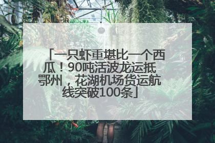 一只虾重堪比一个西瓜！90吨活波龙运抵鄂州，花湖机场货运航线突破100条