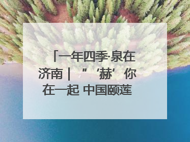 一年四季·泉在济南｜“‘赫’你在一起 中国颐莲喷雾节”：解锁济南夏日消费热潮中的国货新势力