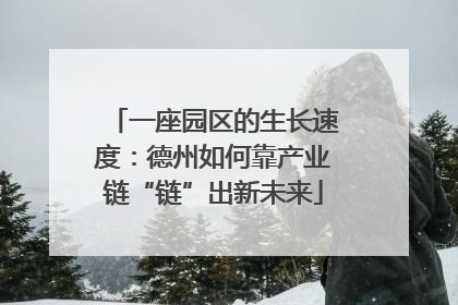 一座园区的生长速度：德州如何靠产业链“链”出新未来