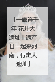 一廊连千年 花开大遗址丨遗产日一起来河南，行走大遗址