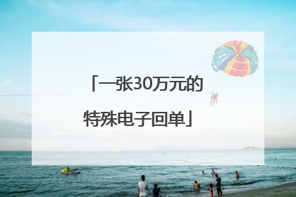 一张30万元的特殊电子回单