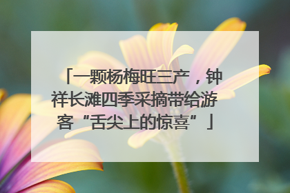 一颗杨梅旺三产，钟祥长滩四季采摘带给游客“舌尖上的惊喜”