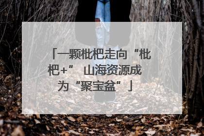 一颗枇杷走向“枇杷+” 山海资源成为“聚宝盆”