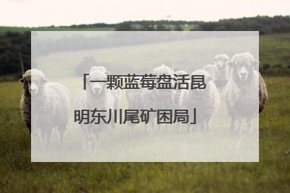 一颗蓝莓盘活昆明东川尾矿困局