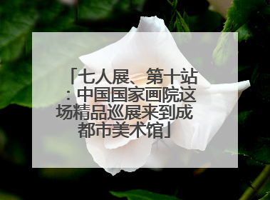 七人展、第十站：中国国家画院这场精品巡展来到成都市美术馆
